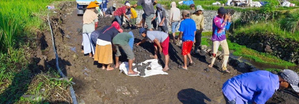 Menuju Rabat Beton: Warga Bulakan Tak Kenal Lelah Bangun Jalan Harapan